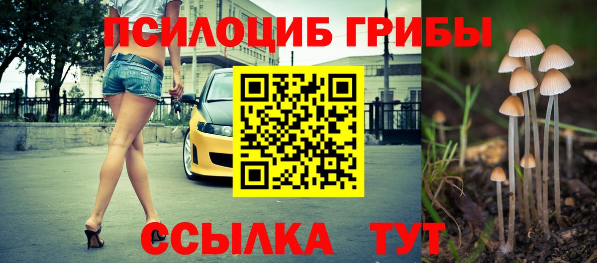 Псилоцибиновые грибы GOLDEN TEACHER Свободный
